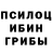 Галлюциногенные грибы Psilocybe Hi Ace