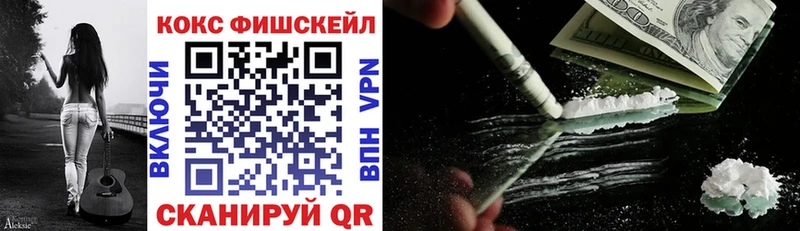COCAIN Fish Scale  где можно купить   Егорьевск 