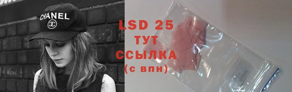 ГАЛЛЮЦИНОГЕННЫЕ ГРИБЫ Алексеевка