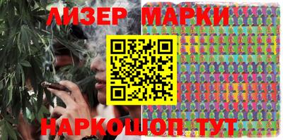 стафф Гай