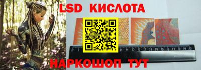 стафф Гай