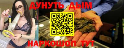стафф Гай