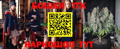 стафф Гай