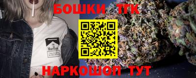 стафф Гай
