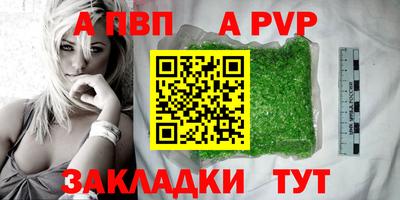 стафф Гай