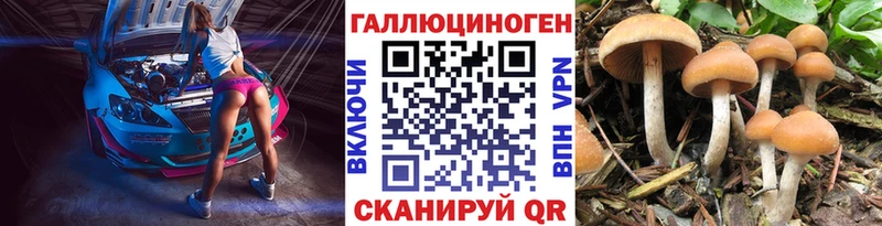 Псилоцибиновые грибы GOLDEN TEACHER  Егорьевск 